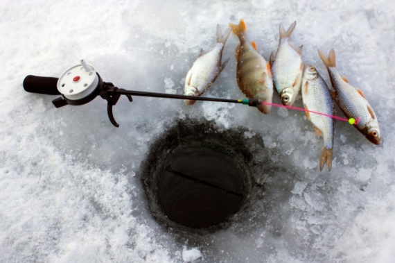 Как поймать рыбу зимой