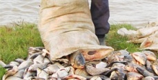 В Удмуртии браконьер установил рекорд по ловле рыбы