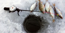 На что ловить рыбу зимой?